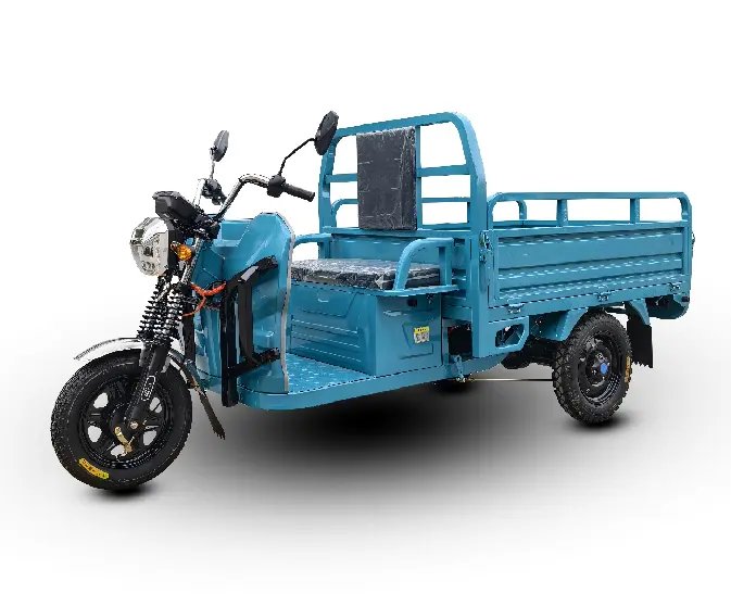 SURRIT King Kong Cargo Electric Tricycle for Commercial Delivery